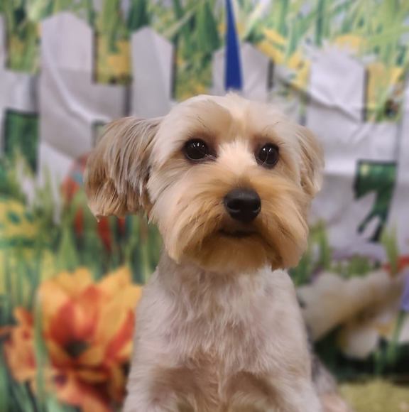 Meet your Posher, Alberta - Picture 1 of 1